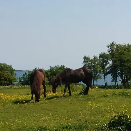 4 Star Holiday Home In Aabenraa